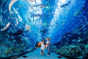 Dubai Aquarium & Underwater - The Lost Chambers Aquarium - Kidzania - 5. Bölüm 