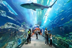 Dubai Aquarium & Underwater - The Lost Chambers Aquarium - Kidzania - 5. Bölüm 