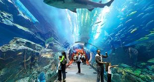 Dubai Aquarium & Underwater – The Lost Chambers Aquarium – Kidzania
