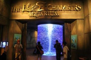 dubai-aquarium-underwater-the-lost-chambers-aquarium-kidzania-resim-4 - 