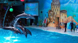 Dubai Dolphinarium - 3. Bölüm Dubai'de Eğlence 