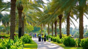 Palm Deira (Palm Deyra) - Mushrif Park - Safa Park Dubai - 2. Bölüm 