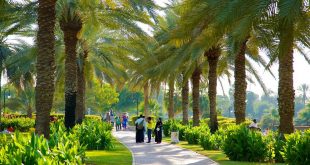 Palm Deira (Palm Deyra) – Mushrif Park – Safa Park Dubai