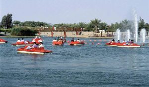 palm-deira-palm-deyra-mushrif-park-safa-park-dubai-resim-2 - 